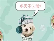 宠物美容学院宠物洗澡应注意什么